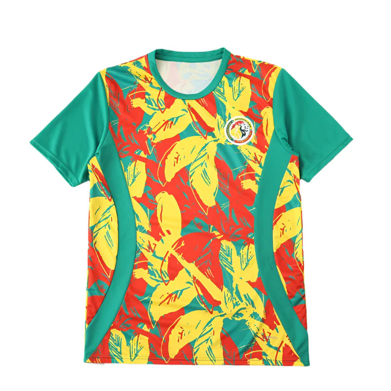 Senegal National Team Training Clothes Fan Version 25/26 Season Jersey