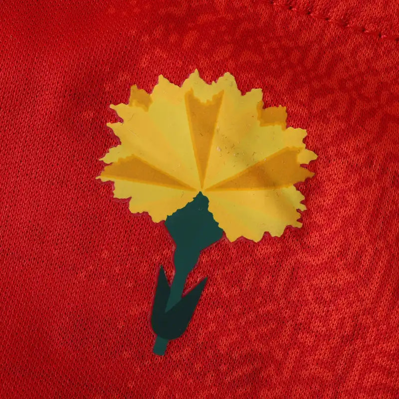 Spain National Team UEFA Home Fan Version 24/25 Season Jersey