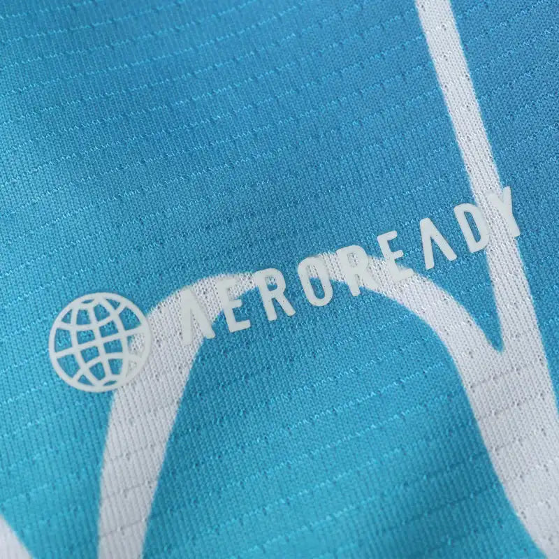 Japan National Team Concept Fan Version 24/25 Season Jersey