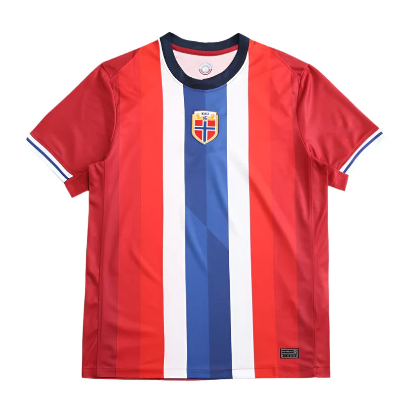 Norway National Team UEFA Home Fan Version 2024 Season Jersey
