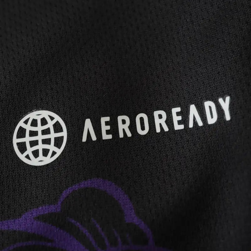 Real Madrid CF Concept Fan Version 24/25 Season Jersey