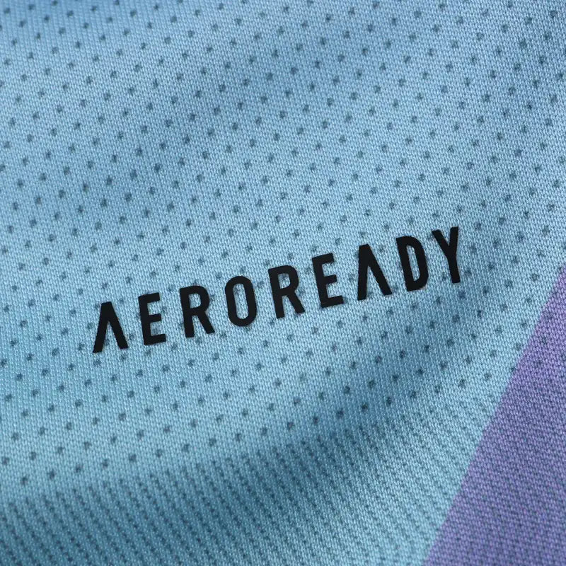Arsenal F.C. Training Shirt Fan Version 24/25 Season Jersey