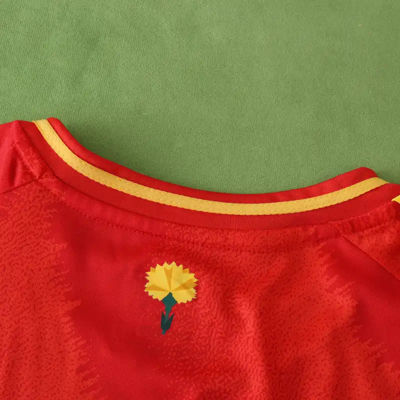 Spain National Team UEFA Home Fan Version 24/25 Season Jersey