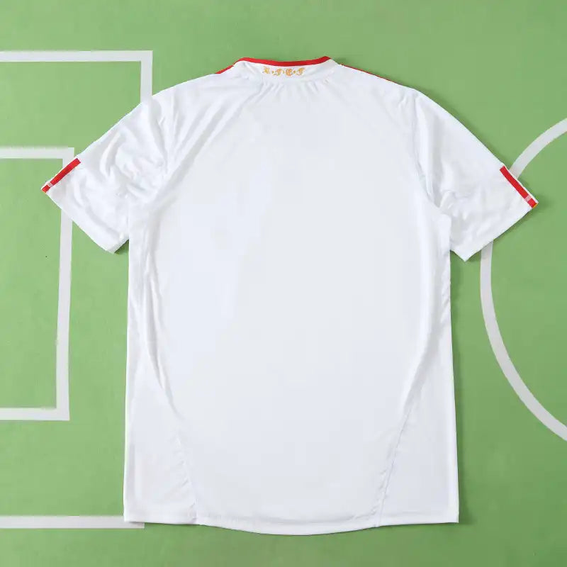 Spain National Team Away Retro Fan Version 2010 Season Jersey