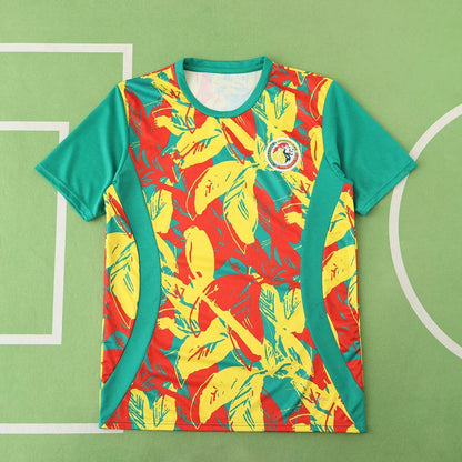 Senegal National Team Training Clothes Fan Version 25/26 Season Jersey