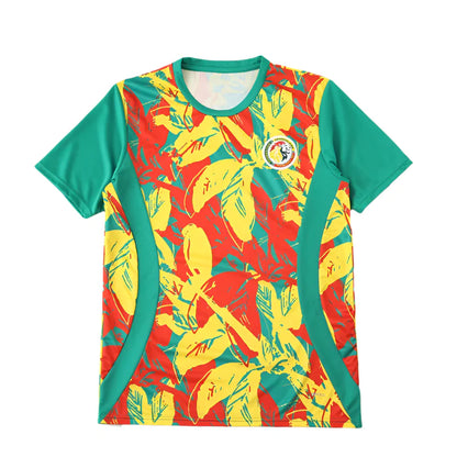 Senegal National Team Training Clothes Fan Version 25/26 Season Jersey