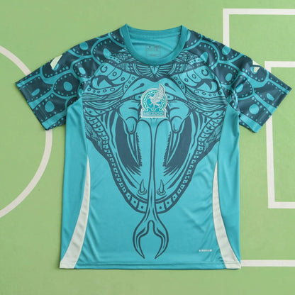 Mexico National Team Green Training Fan Version 2024 Season Jersey