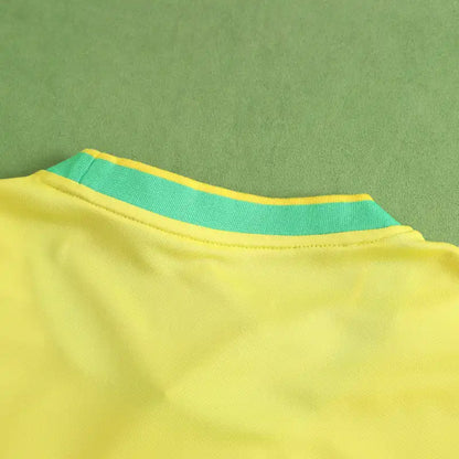 Brazil National Team Special Edition Fan Version 2024 Season Jersey