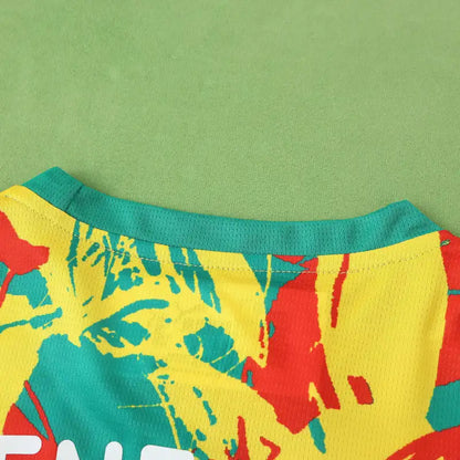 Senegal National Team Training Clothes Fan Version 25/26 Season Jersey