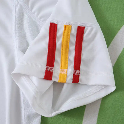 Spain National Team Away Retro Fan Version 2010 Season Jersey