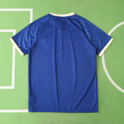 Japan National Team Concept Fan Version 24/25 Season Jersey