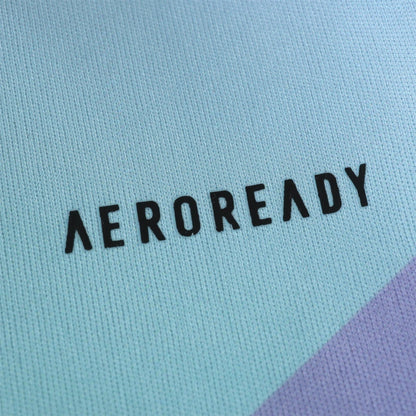 Arsenal F.C. Third Shirt 24/25 Season