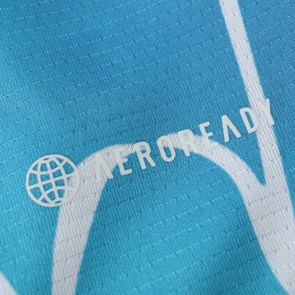 Japan National Team Concept Fan Version 24/25 Season Jersey