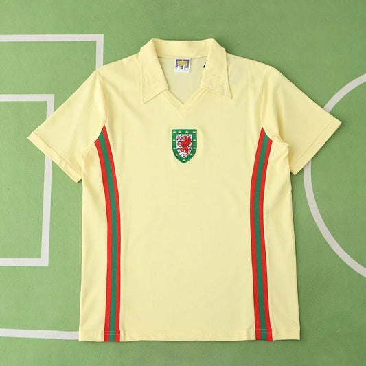 Scotland National Team Home Retro Fan Version 76/79 Season Jersey