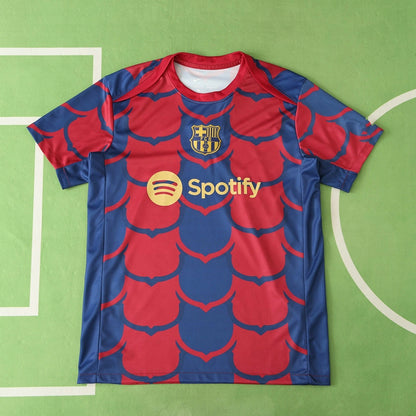 FC Barcelona Special Edition Fan Version 24/25 Season Jersey