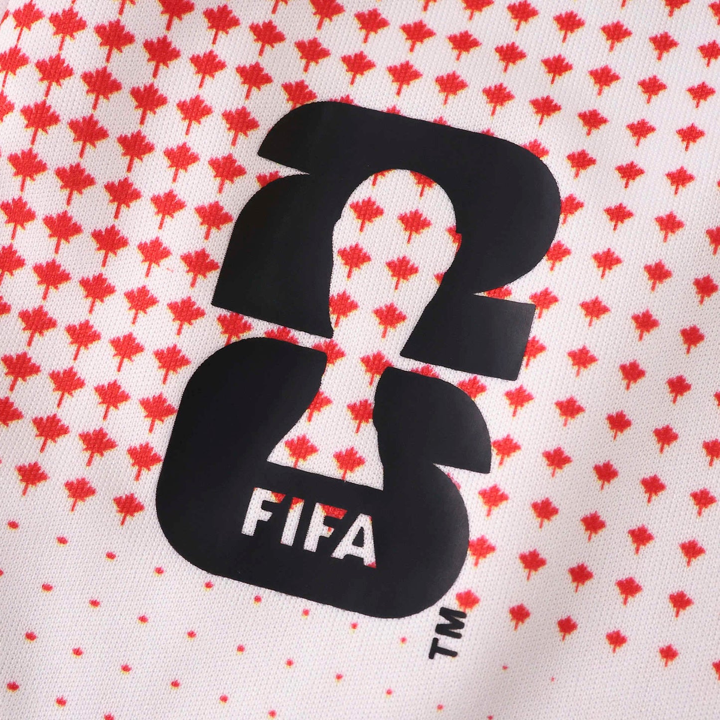 2026 FIFA World Cup Canada Promote Jersey