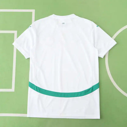 Senegal National Team Home Fan Version 25/26 Season Jersey