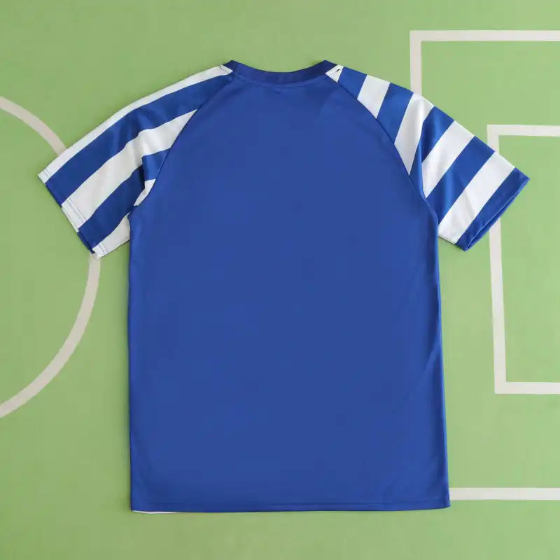 FC Porto Training Shirt Fan Version 24/25 Season Jersey