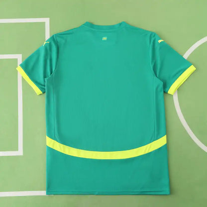 Senegal National Team Away Fan Version 25/26 Season Jersey