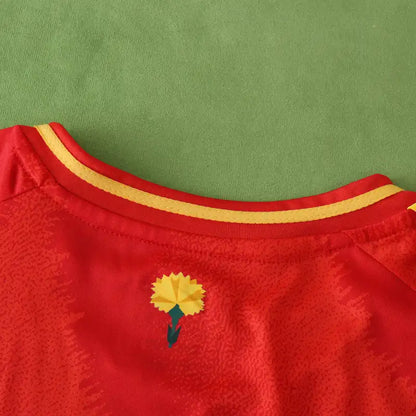 Spain National Team UEFA Home Fan Version 24/25 Season Jersey