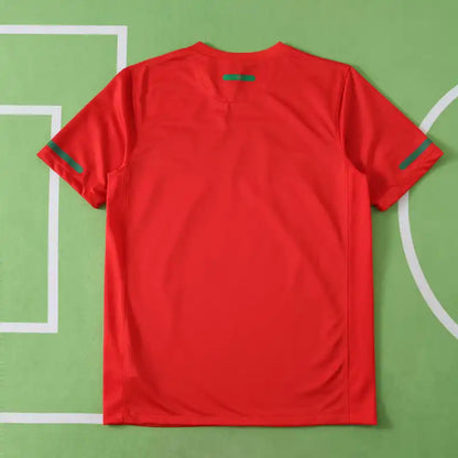 Portugal National Team Home Retro Fan Version 2010 Season Jersey